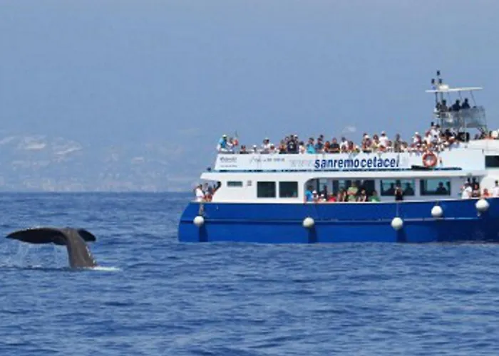 In Centro Citta, Nei Vicoli Del Borgo